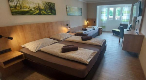 Pension DELAGERA, Großmehring